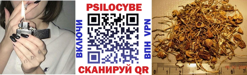 цена гидра ссылка Галлюциногенные грибы Psilocybine cubensis Камень-на-Оби